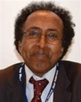 Mohamed Ibrahim